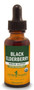 Black Elderberry Extract 1 Oz