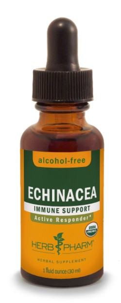 Echinacea Glycerite 1 Oz