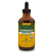 Echinacea Glycerite 4 Oz