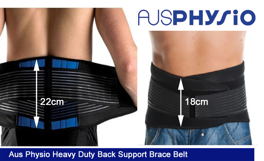 lumbar lower back support