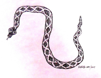 Pen & Ink RATTLE SNAKE DRAWING by George Borum