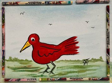 CARDINAL - RED BIRD - by John Taylor (Pencil Trim)