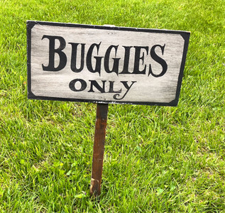 AMISH - BUGGIES ONLY on a Stake