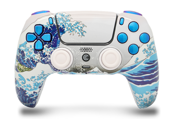 Waves & Chameleon Inserts PS5 Controller | PS5