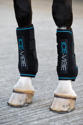 Horseware Ice Vibe Boot - Black/Aqua