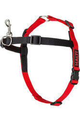 Halti Front Control Dog Harness in Black/Red