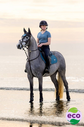 LeMieux Earth Close Contact Saddle Pad in Ocean - Lifestyle
