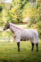Horseware Rambo Protector Fly Sheet with Disc Front Closure
