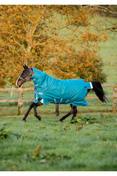 Horseware Amigo Bravo 12 Plus Turnout Blanket 400g - Storm Green/Turquoise