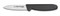 Dexter Russell Basics 3" Tapered Point Parer Black Handle 31611B P94843B