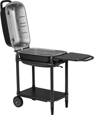 PK Grills PK300-BCX Portable Charcoal BBQ Grill and Smoker