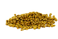 Soy Nuts (unsalted)