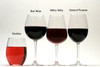 Examples of Wine Glasses Available from Glass Blasted