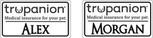 Custom listing for Morgan - 2 name tags with Trupanion art base