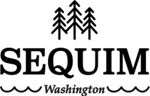 Custom listing - Seqium logo on 24 mason drinking jars SHIP 3/1