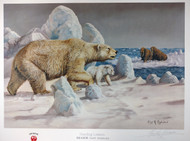 Hunting Lesson - Polar Bear - Hunting Lesson - Polar Bear