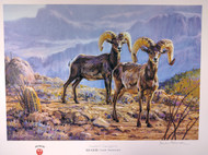 Desert Rangers - Desert Sheep - Desert Rangers - Desert Sheep