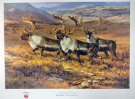Migration Time - Caribou - Migration Time - Caribou