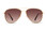 Von Zipper Statey Sunglasses - Gold Gloss - Brown Gradient - STA-GBG