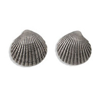 Small Scallop Shell Earrings
