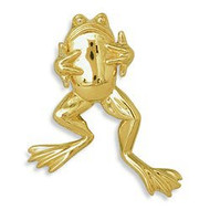 Who Me? Frog Brooch