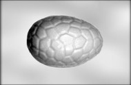 5-1/2" CRACKED EGG-3D CHOCOLATE CANDY MOLD