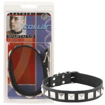 Leather Collar 1 Inch With Assorted Studs