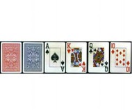 COPAG CASINO Plastic Coated Playing Cards - 2 Decks!