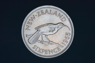 New Zealand - 1965 - Sixpence - Broken Wing Error - KM26 - Unc (OM-A3235)