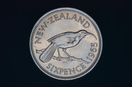 New Zealand - 1965 - Sixpence - Broken Wing Error - KM26 - Unc (OM-A3236)