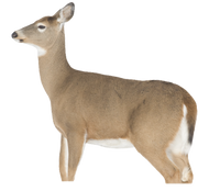 Montana Whitetail Dreamy Doe Decoy