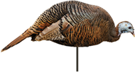 Montana Dinner Belle Hen Turkey Decoy