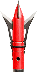 Xecutioner Expandable Red Broadhead 100gr + Practice Tip - 4 Pack