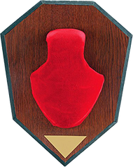 Allen Antler Mounting Kit Red Skull Cap