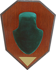 Allen Antler Mounting Kit Green Skull Cap