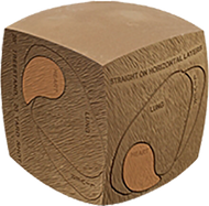Field Logic Vital "Core" for Large Glendel Buck  (Core Only)