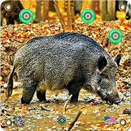 Arrowmat Hog Target 17x17 - 3 Pack Paper Targets