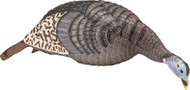 Hunters Specialties Strut-Lite Feeding Hen Decoy