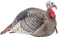 Hunters Specialties Strut-Lite Jake Decoy