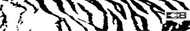 Bohning 7 Inch Standard Printed Arrow Wrap White Tiger - 1 Dozen Wraps