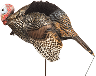 Dave Smith Decoy Mating Motion Jake Turkey Decoy
