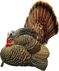 Avian X Turkey Decoy Strutter