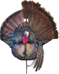 Montana Wiley Tom Decoy Turkey Decoy