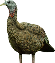 Avian X Turkey Decoy Lookout