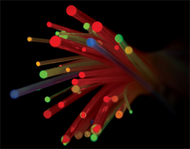 Truglo Replacement Fiber Optics .019 - 3 Pack