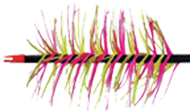 Trueflight Spiral Wrap Flo Green Full Length RW Feathers - 100 Pieces