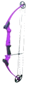 Genesis Kit Wild Berry Right Hand Youth Bow