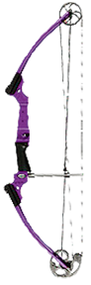 Genesis Bow Wild Berry Left Hand Youth Bow