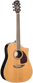 Samick Acoustic Guitar Dreadnought S650D