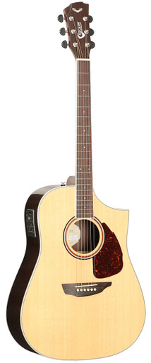 Samick SGW Acoustic Guitar Dreadnought S550D